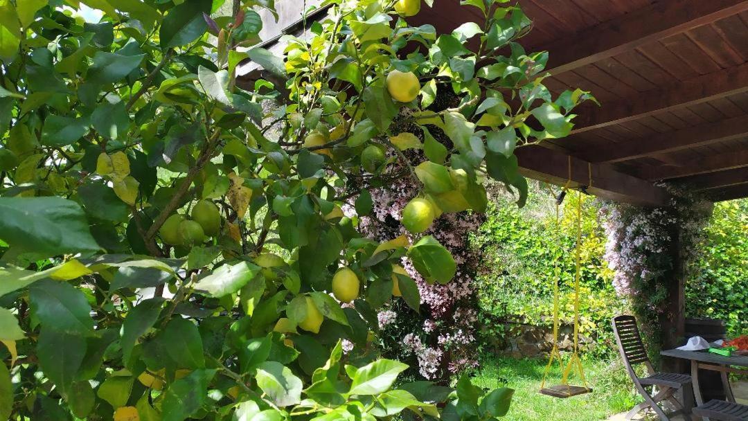 Casa Rural Goiena Mungia Dış mekan fotoğraf